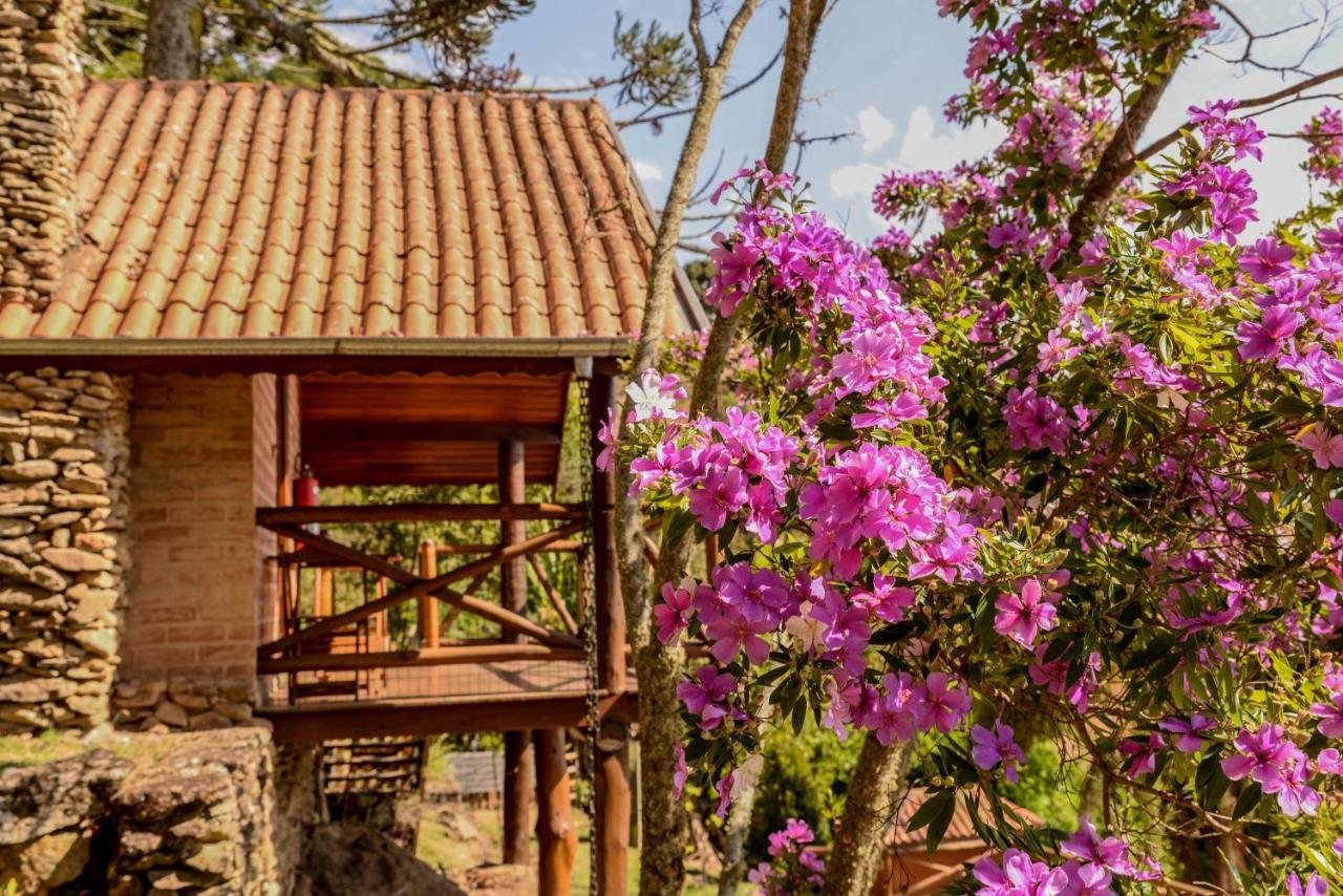 Chales Araucaria E Manaca Sao Bento do Sapucai Ngoại thất bức ảnh