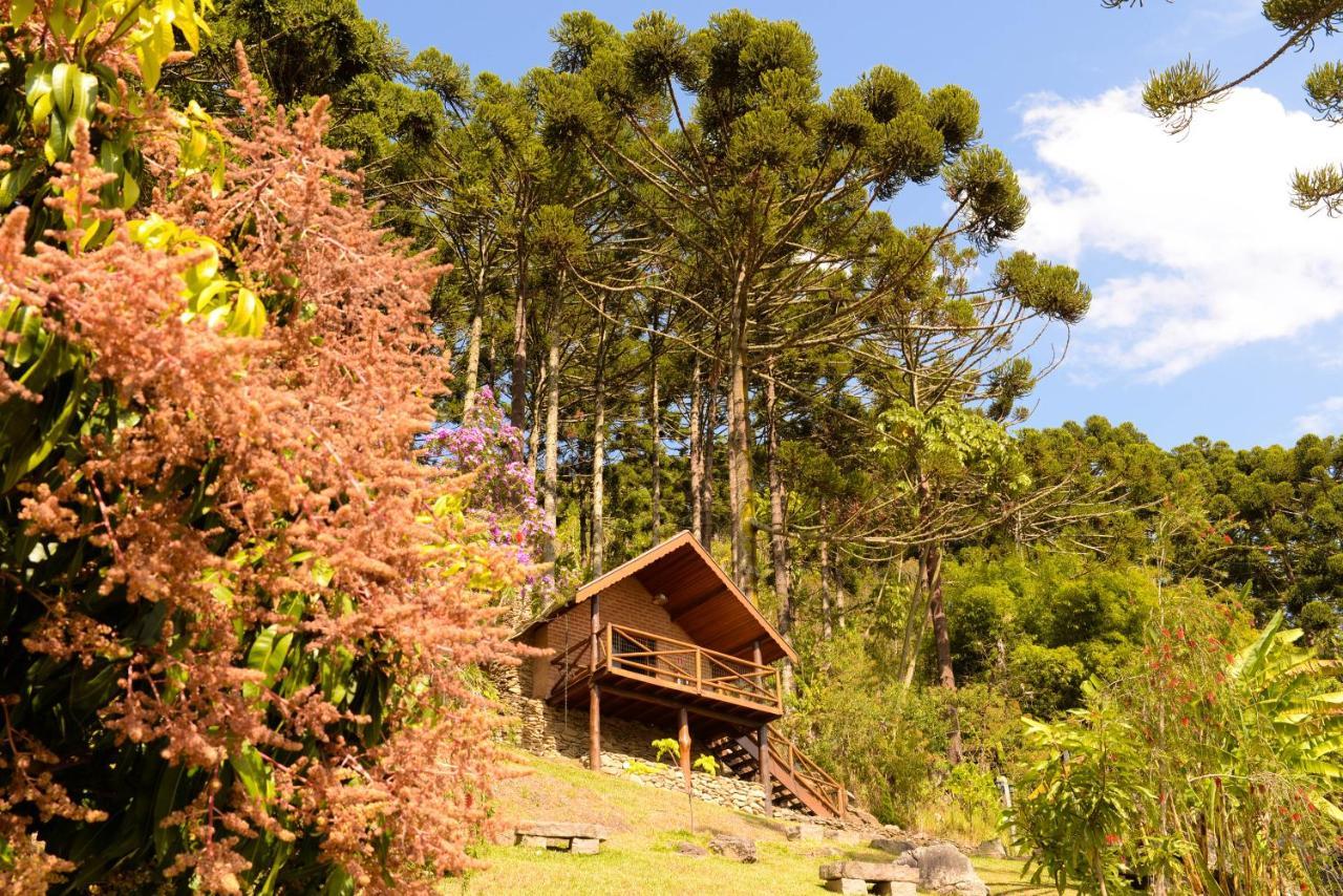 Chales Araucaria E Manaca Sao Bento do Sapucai Ngoại thất bức ảnh