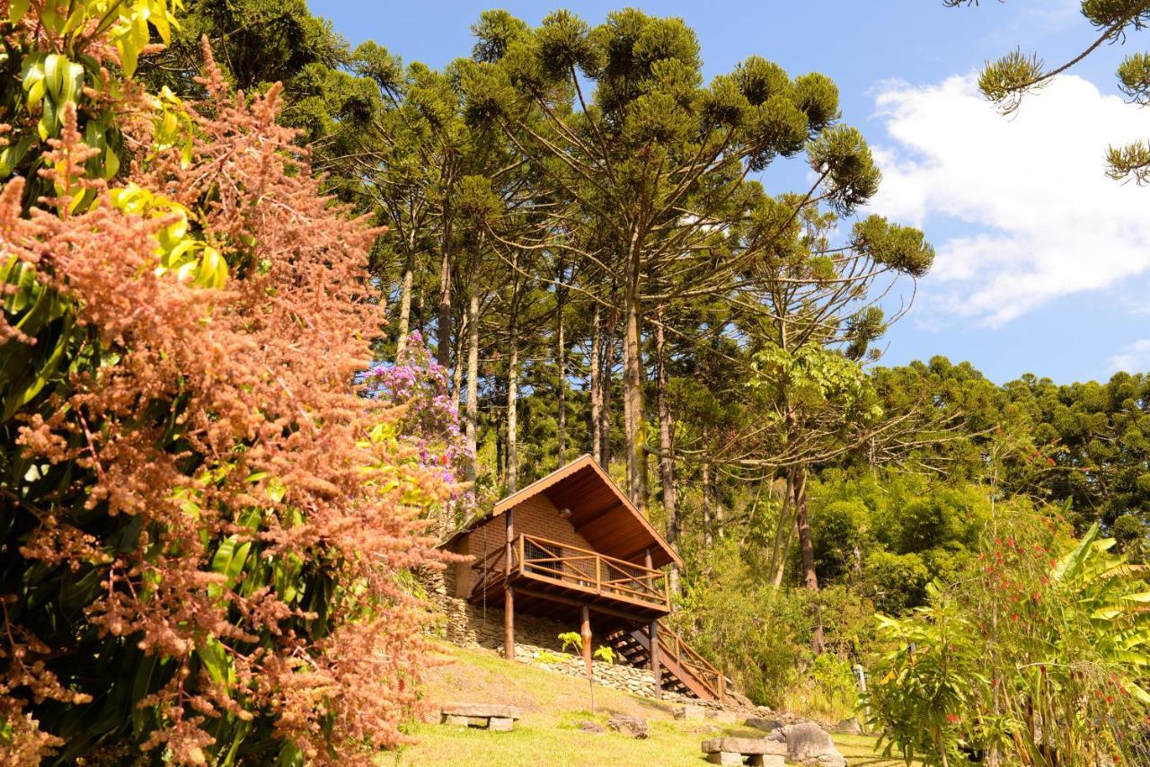 Chales Araucaria E Manaca Villa Sao Bento do Sapucai Ngoại thất bức ảnh