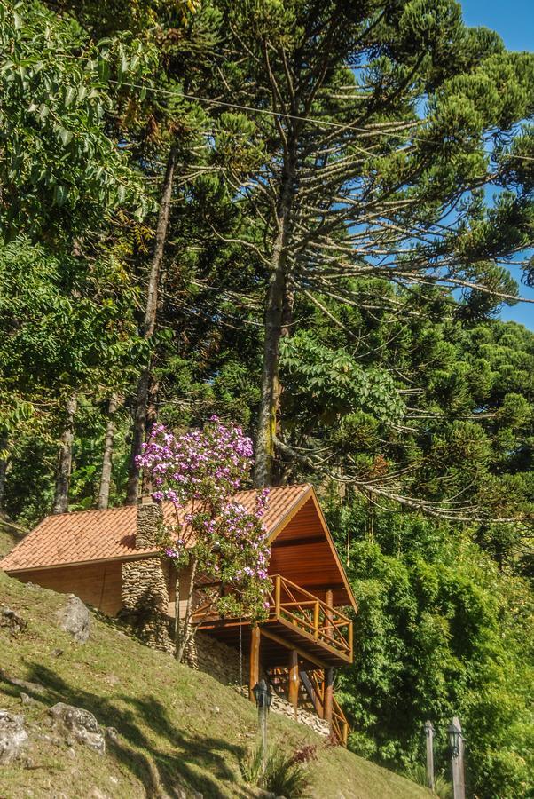Chales Araucaria E Manaca Sao Bento do Sapucai Ngoại thất bức ảnh